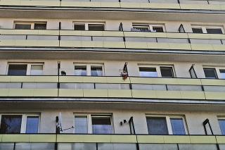 Vanda má v kvetináči na balkóne 6 mláďat Sokola myšiara.