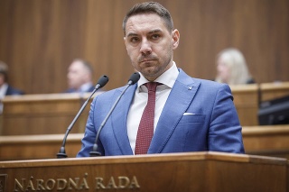 Kritika vlády zjednotila Gyimesiho z OĽaNO a Tomáša z Hlasu.