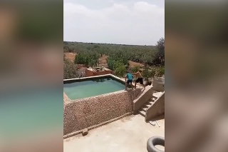 Pes záchranár: Muž simuloval topenie sa v bazéne. To, ako zareagoval jeho pes prekvapilo aj samotného majiteľa. Pozrite sa na to!