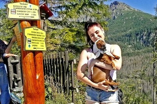 Turisti si psíkov do Tatier berú aj na dlhé túry, niektorí ich majú na vôdzke, iní ich aj púšťajú. 