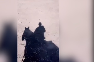 Nečakané stretnutie na púšti: Žena na koni prechádzala po púšti. Takéhoto milého návštevníka veru nečakala. K žene sa pridal najmilší spoločník