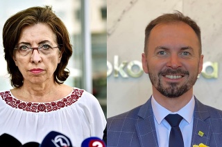 Predsedníčka poslaneckého klubu SaS Anna Zemanová a šéf poslaneckého klubu OĽANO Michal Šipoš.