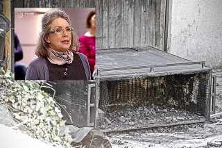 V roku 2013 si zahrala aj v televíznej relácii Súdna sieň. V tejto piecke pálil Vladimír rozštvrtené telo Kristíny.