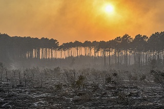 Francúzsko bojuje s lesnými požiarmi.