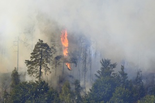 Rozsiahly požiar v národnom parku České Švajčiarsko sa rozšíril a zasiahol ďalšiu plochu s rozlohou zhruba štvrť hektára. 