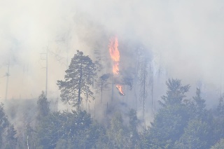 Oblasť Českého Švýcarska sužuje mohutný požiar.