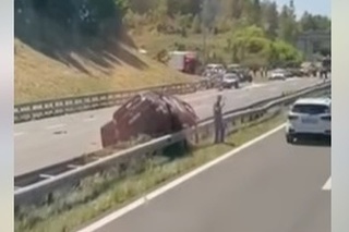 K nehode došlo na chorvátskej diaľnici A1.