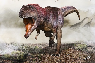 EVOLUČNÉ PREKVAPENIE: Hoci sa tvarom tela podobá na tyranosaura, nie sú vôbec príbuzní.