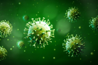 Nový vírus Langya, ktorý sa vyskytol na východe Číny.