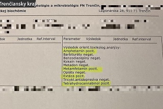 Na otázku, či požil návykové a psychotropné látky, odpovedal kladne. 