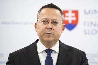 Ladislav Kamenický (2019 - 2020), Smer-SD
