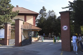 Univerzita veterinárskeho lekárstva a farmácie v Košiciach.