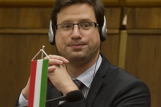 Šéf úradu vlády v Maďarsku Gergely Gulyás.