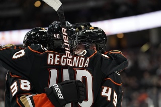 Slovenský hokejista v drese Anaheimu Ducks Pavol Regenda (40) sa teší so spoluhráčmi po strelení gólu v prípravnom zápase pred štartom novej sezóny zámorskej NHL.