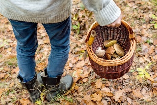 Unrecognizable man holding wicker basket with mushrooms in autumn forest