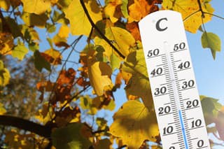 Thermometer in front of an autumn colored tree