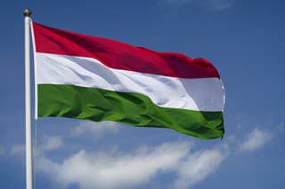 The flag of Hungary waving in the wind.