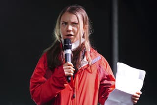 Švédska environmentálna aktivistka Greta Thunbergová.