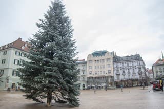 Na Hlavnom námestí v Bratislave osadili vianočný stromček.