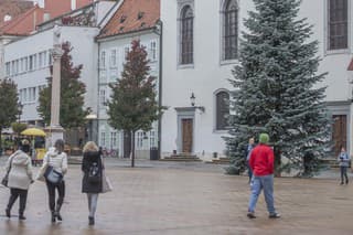 Na hlavnom námestí v Bratislave už osadili vianočný stromček. 