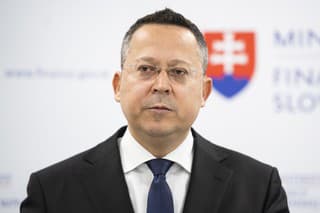 Ladislav Kamenický (2019 - 2020), Smer-SD

