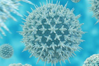 flu virus.3d rendering