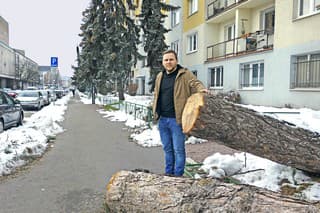 Košičan Róbert (34) ukazuje na miesto, kde mu strom zničil auto.