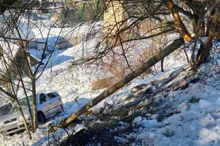 Dopravná nehoda, ku ktorej došlo v nedeľu predpoludním pri obci Rudňany v okrese Spišská Nová Ves, si vyžiadala dve obete. 