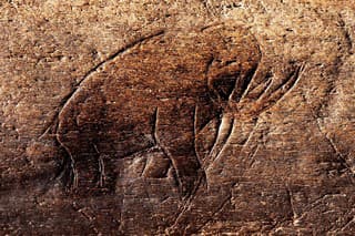 Na Floride sa podarilo nájsť 13 tisíc rokov starú kresbu mamuta. Vedci veria, že ide o originál.