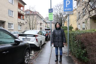 V niektorých častiach hlavného mesta platí už takmer rok nová parkovacia politika PAAS. 