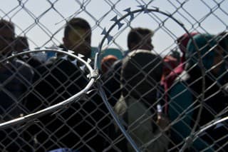 Streľba pri maďarských hraniciach medzi migrantmi. 