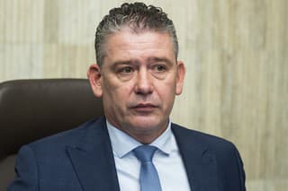 Na snímke dočasne poverený minister vnútra SR Roman Mikulec (OĽaNO).
