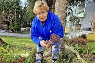 Eva Gabajová (67), Topoľčany
