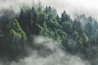 A wonderful, magical interplay of low-hanging fog, a mountain lake and a beautiful, green forest. A mystical looking and soothing scene.