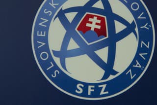 Logo SFZ. (ilustr. foto)