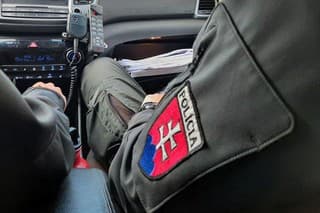 Slovenská polícia
