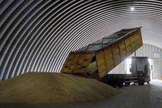 Ukrajinskou pšenicou na Slovensku by sa podľa Krajniaka mala zaoberať aj vláda.