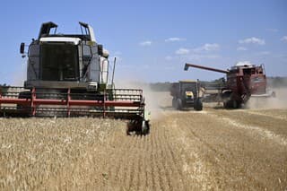 Poľnohospodárstvo zažíva pokles úrody.