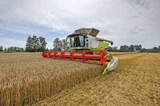 Problémom sa stala pšenica, ktorá je z Ukrajiny oveľa lacnejšia.