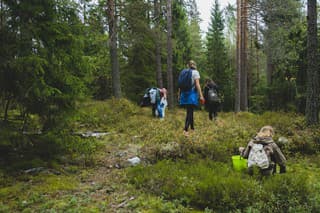 Oslo, Norway - September 07, 2013: A group of girls is hiking in Nordmarka looking for edible, boletus, mushrooms