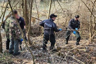 Muži zákona objasnili prípad marcového nálezu mužského tela v lese v Bernolákove.