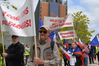 V Bruseli protestovali aj Česi. 