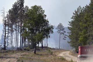 V lese plnom starej munície sa šíri rozsiahly požiar