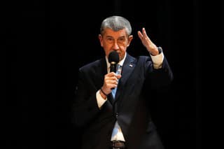 Andrej Babiš oznámil, že chce "politický detox"