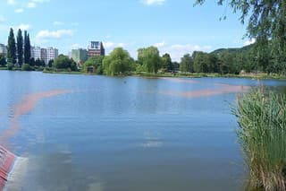 Košická mestská polícia zasahovala pri jazere.