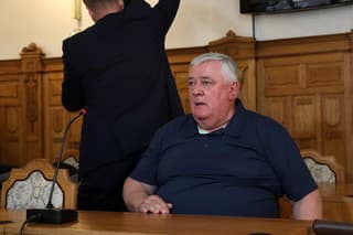 Slotu odsúdili,