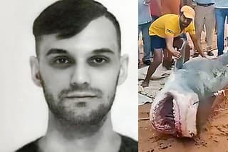 Obeťou žraloka bol mladý Rus.