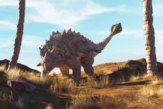Ankylosaurus on a dry land . This is a 3d render illustration .