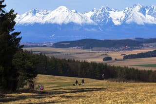 Takmer pätina územia Slovenska má potenciál na výstavbu obnoviteľných zdrojov energie (OZE). 