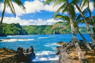 Ostrov Maui je mimoriadne obľúbený medzi turistami.